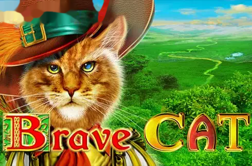 Brave Cat