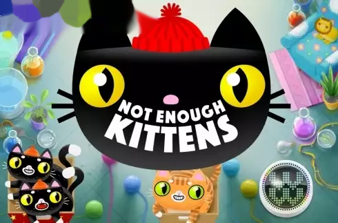 Not Enough Kittens