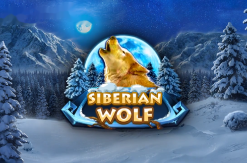 Siberian Wolf